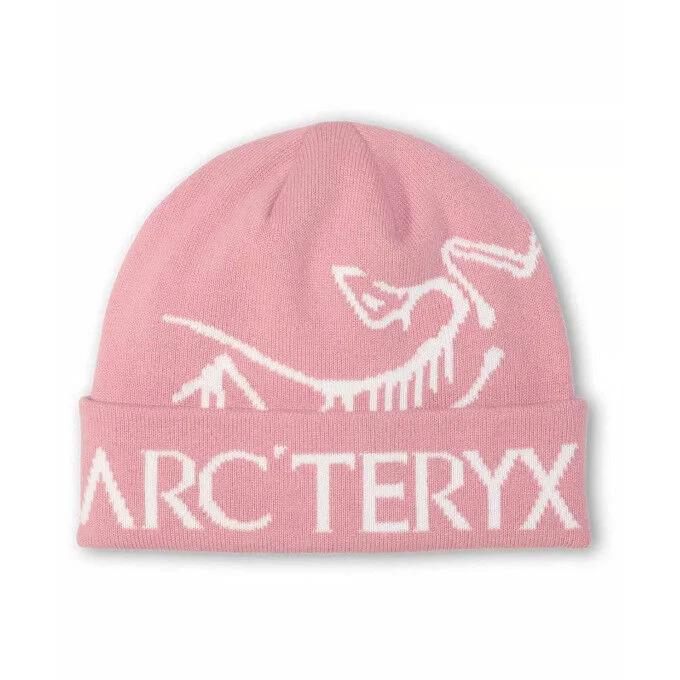 Berretto unisex Arc'Teryx Bird Word / Bliss/Arctic Silk