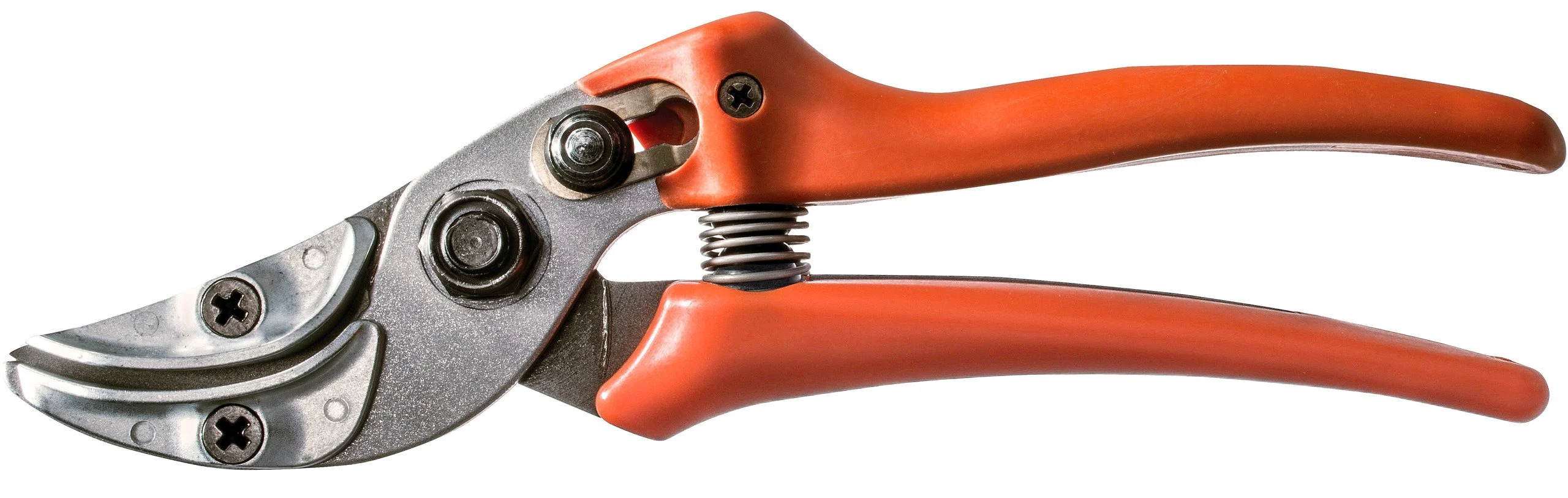 Löwe Rosenpräsentierschere Nr. 16 ergonomische Ausführung