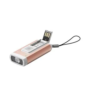 LEDLENSER Leuchte K6R SAFETY ROSE GOLD