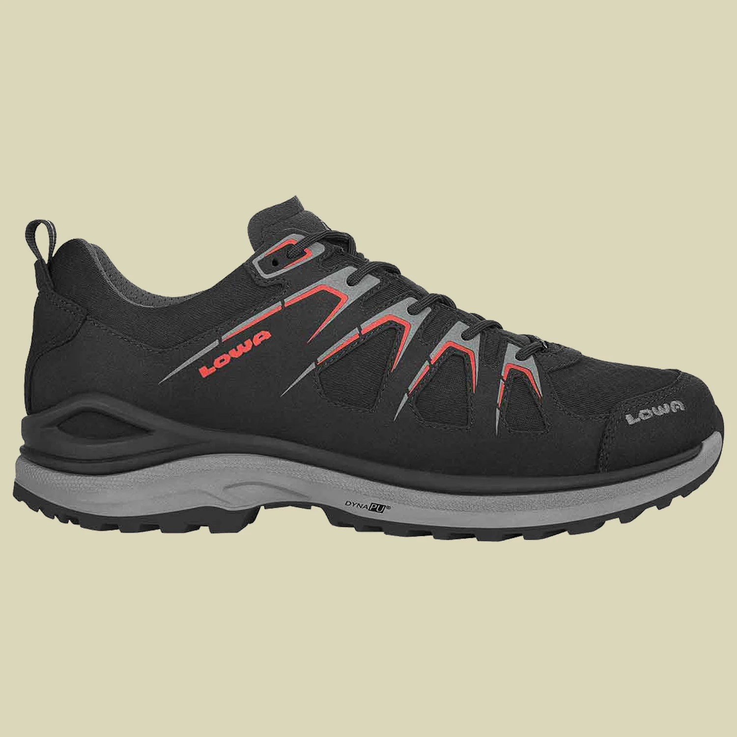 LowaInnox Evo GTX Low Men