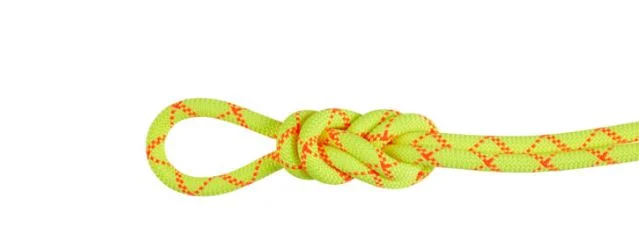 Mammut 9.5 Alpine Core Protect Dry Rope - Kletterseil