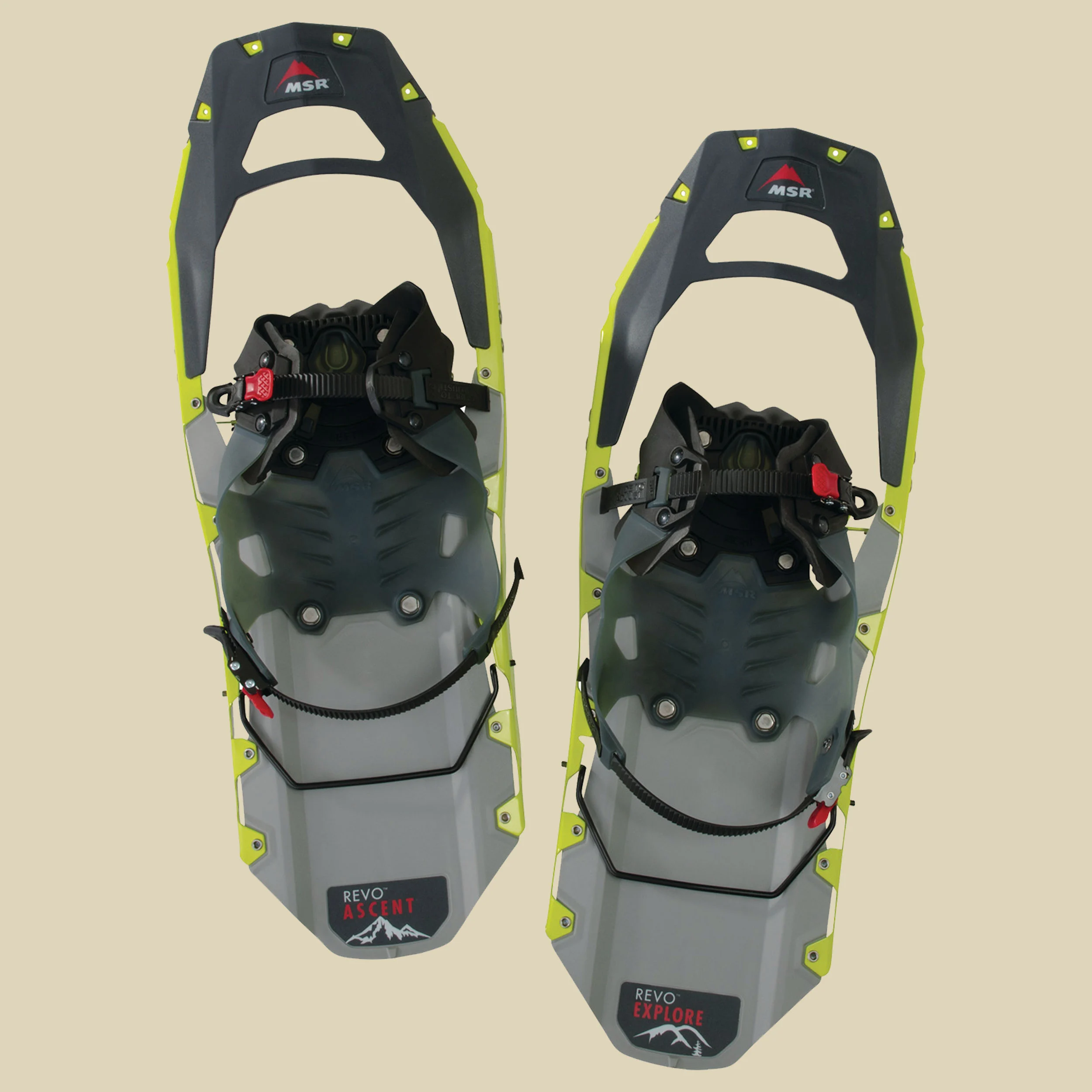 MSRRevo Explore M22 Länge: 56cm Farbe: chartreuse