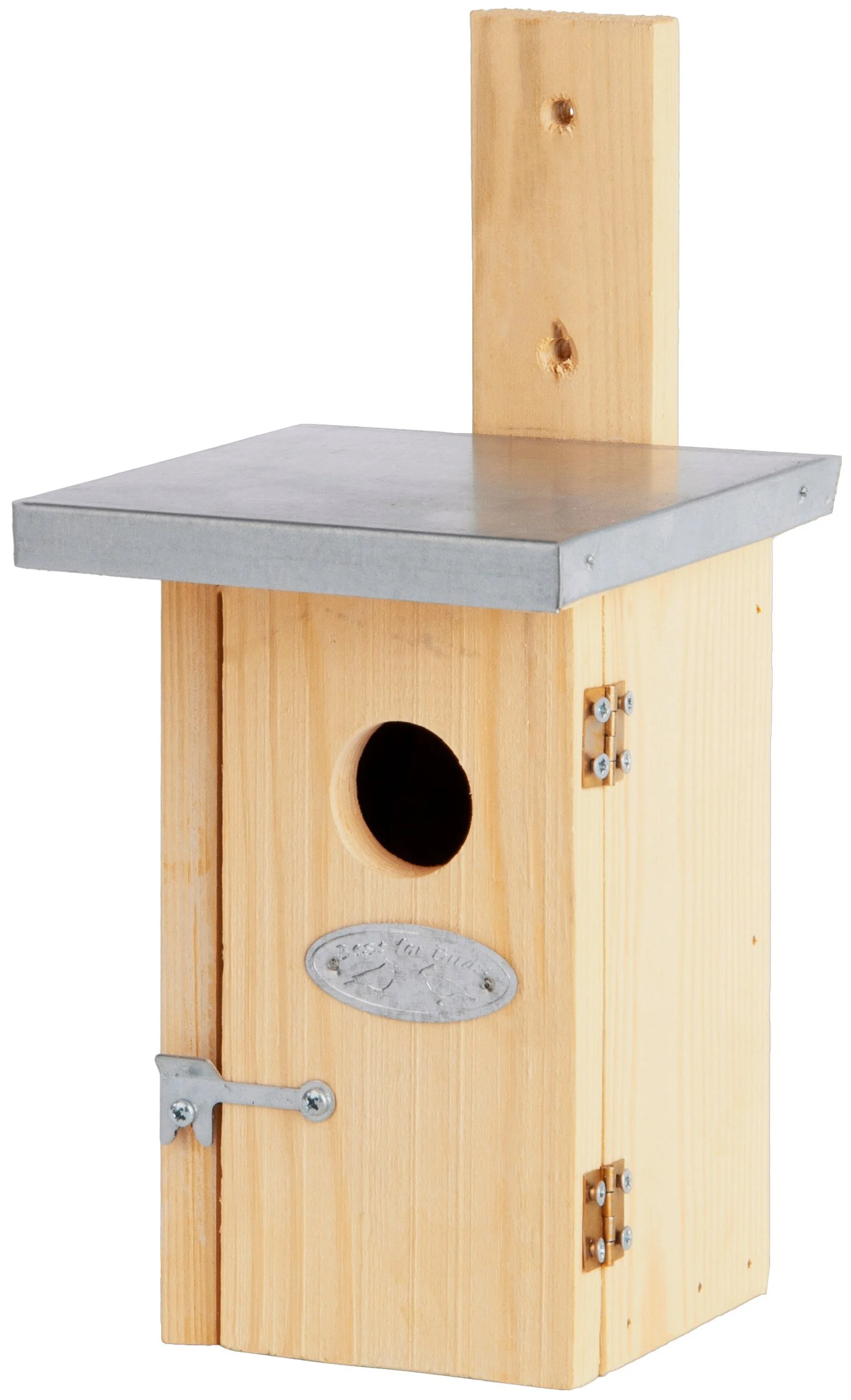 Nistkasten Zaunkönig