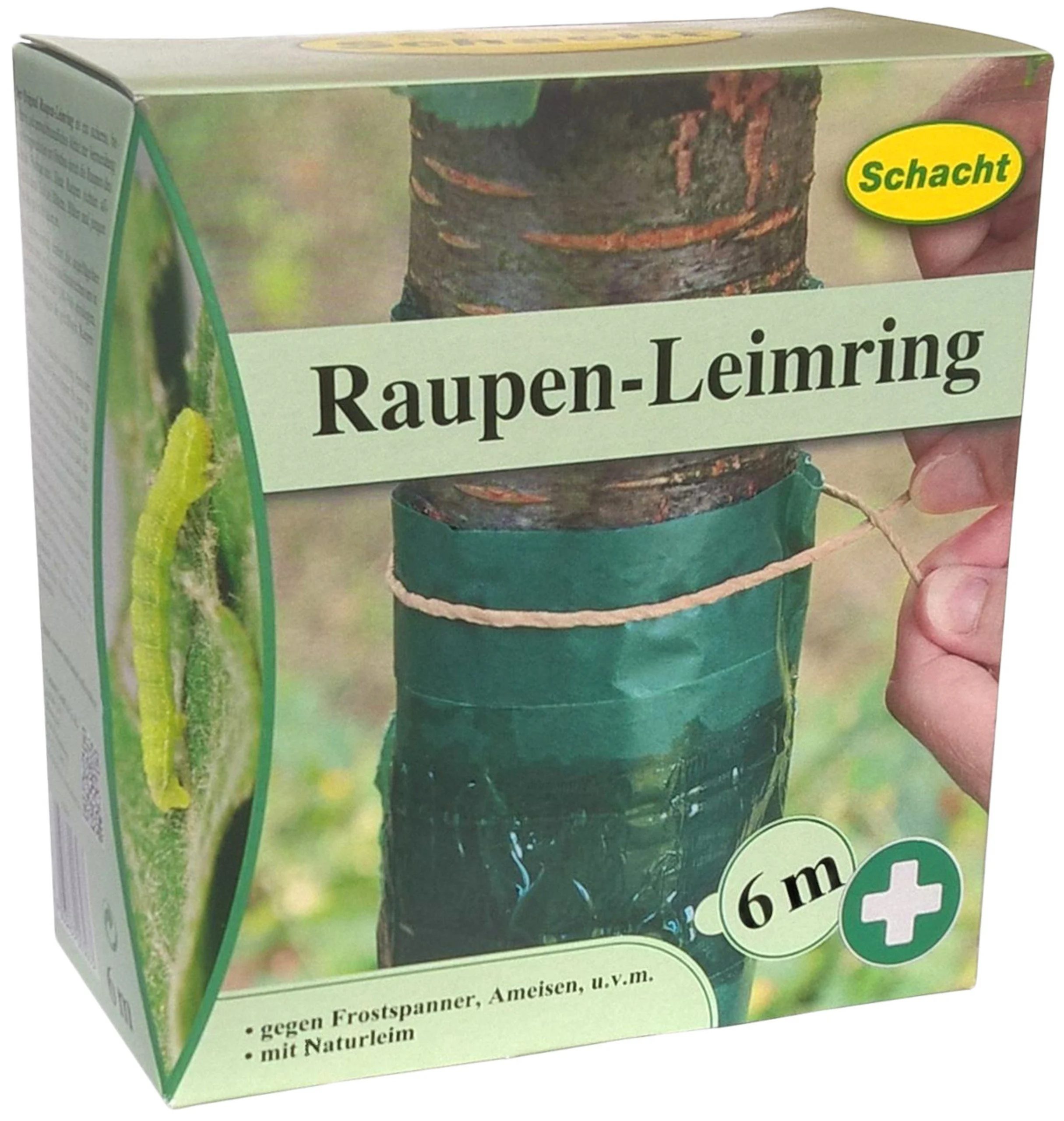 Raupen-Leimring 6 m