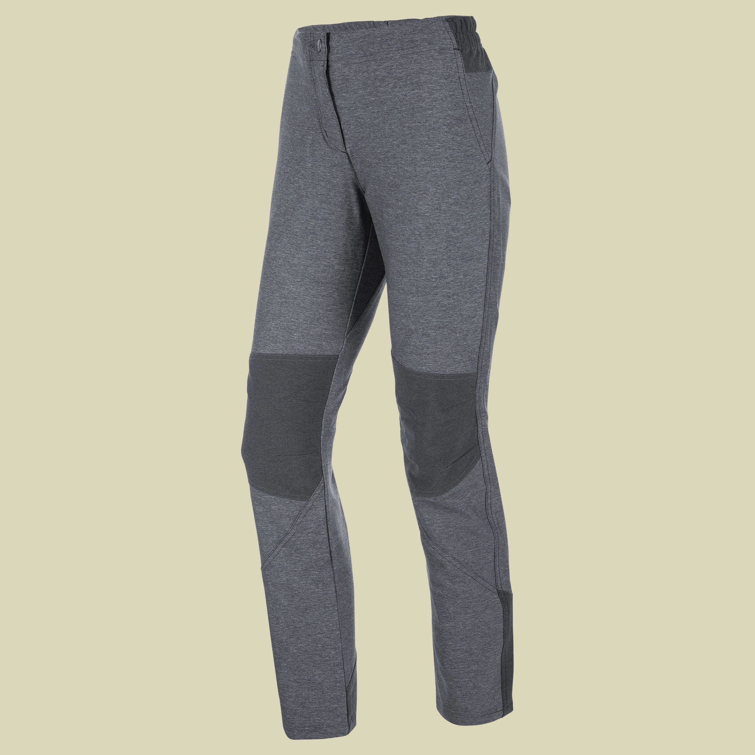 SalewaFanes Misurina Dry W Pant Women Größe 36 Farbe magnet