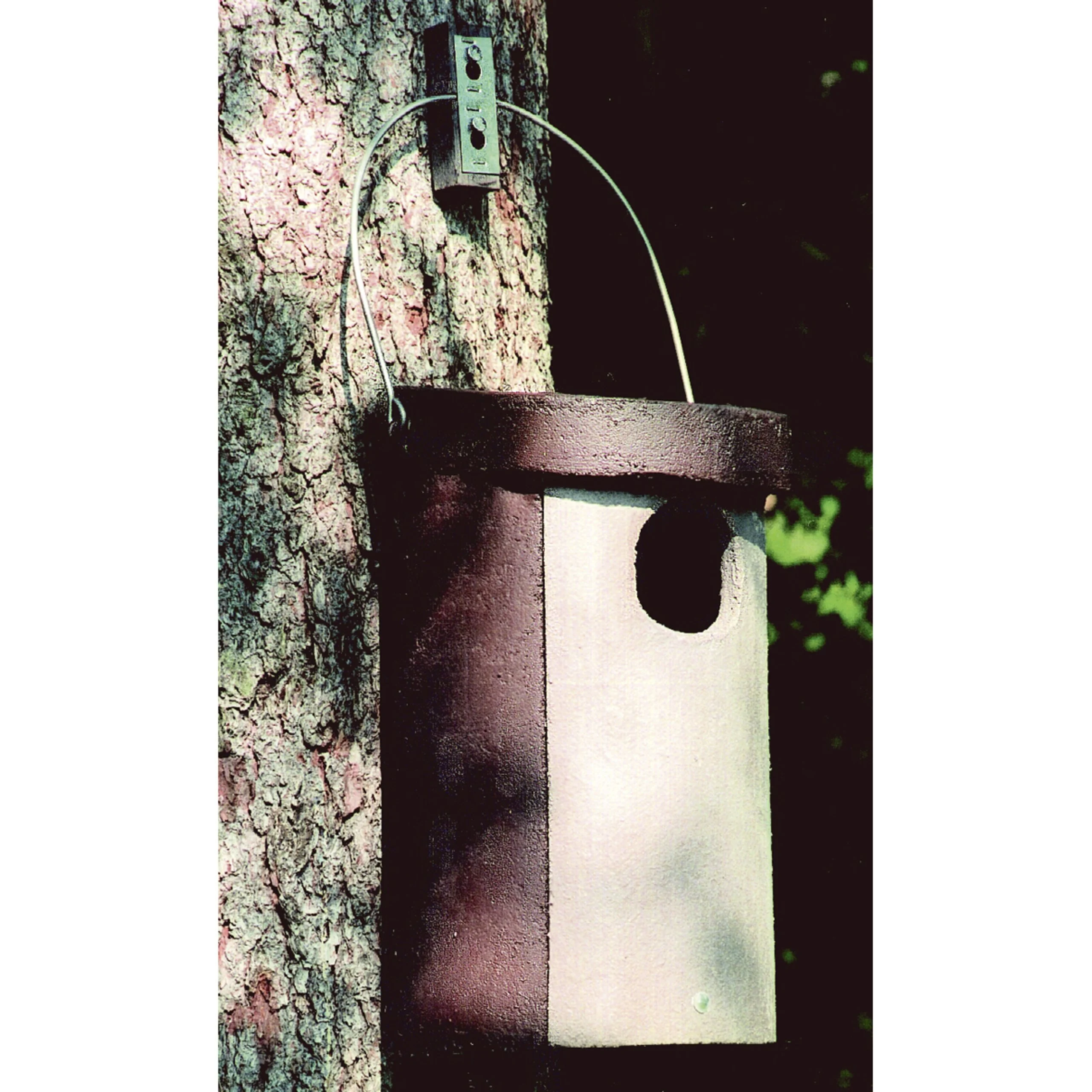 Schwegler Eulenhöhle Nr. 4