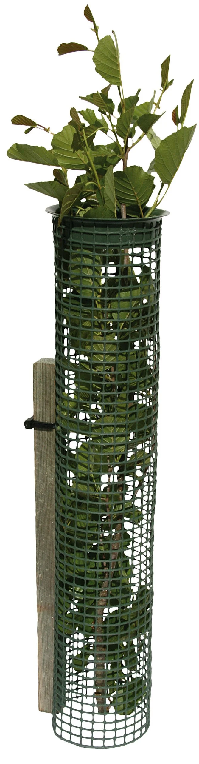 Tubex Wuchs- und Schutzhülle Treeguard